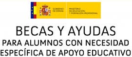 BECAS ACNEAE